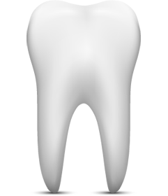 tooth